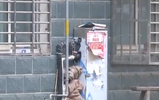 自來水管道保溫電伴熱帶，冬季管道防凍新寵(圖2)